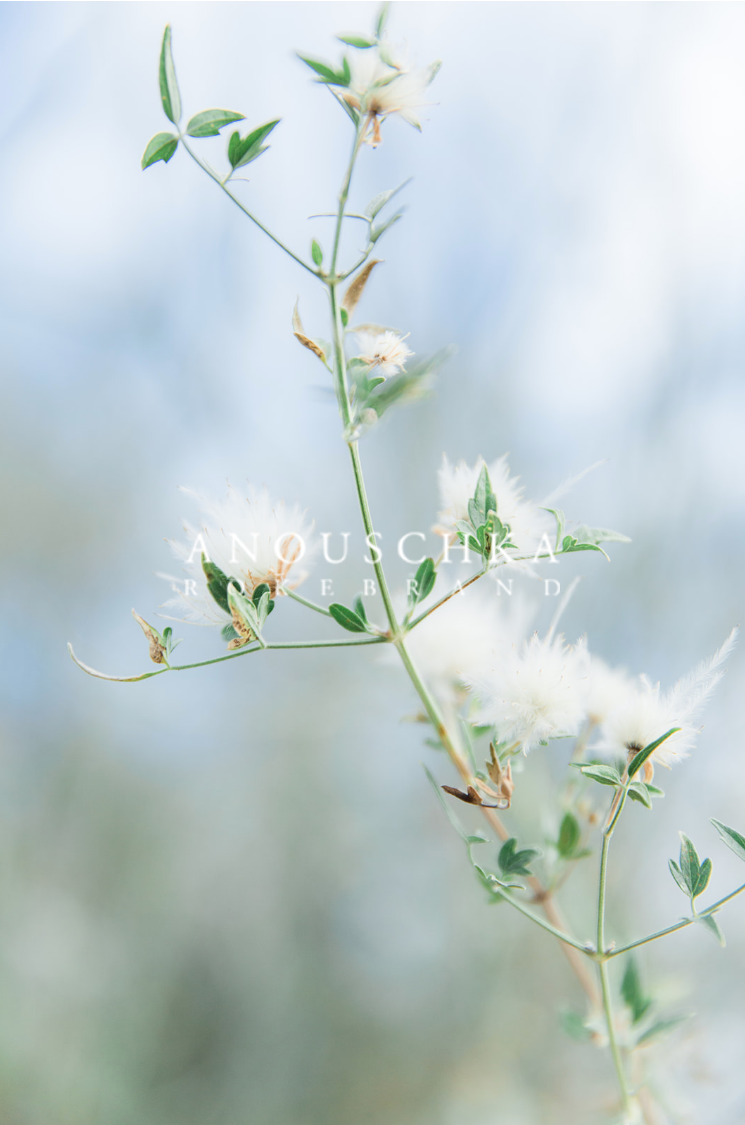 Photo: Anoushka Rokebrand