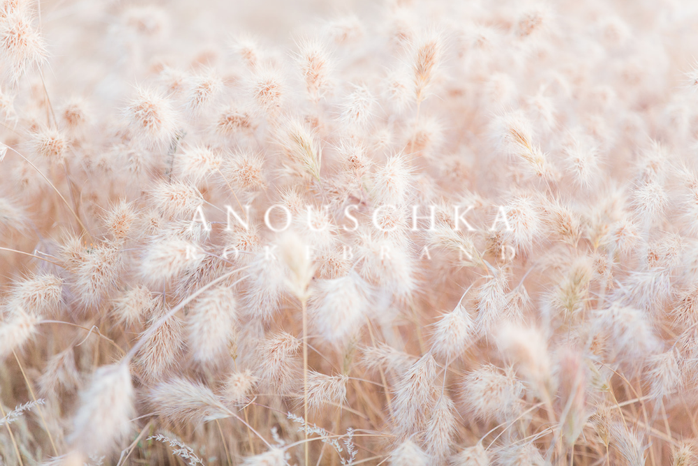 Photo: Anoushka Rokebrand