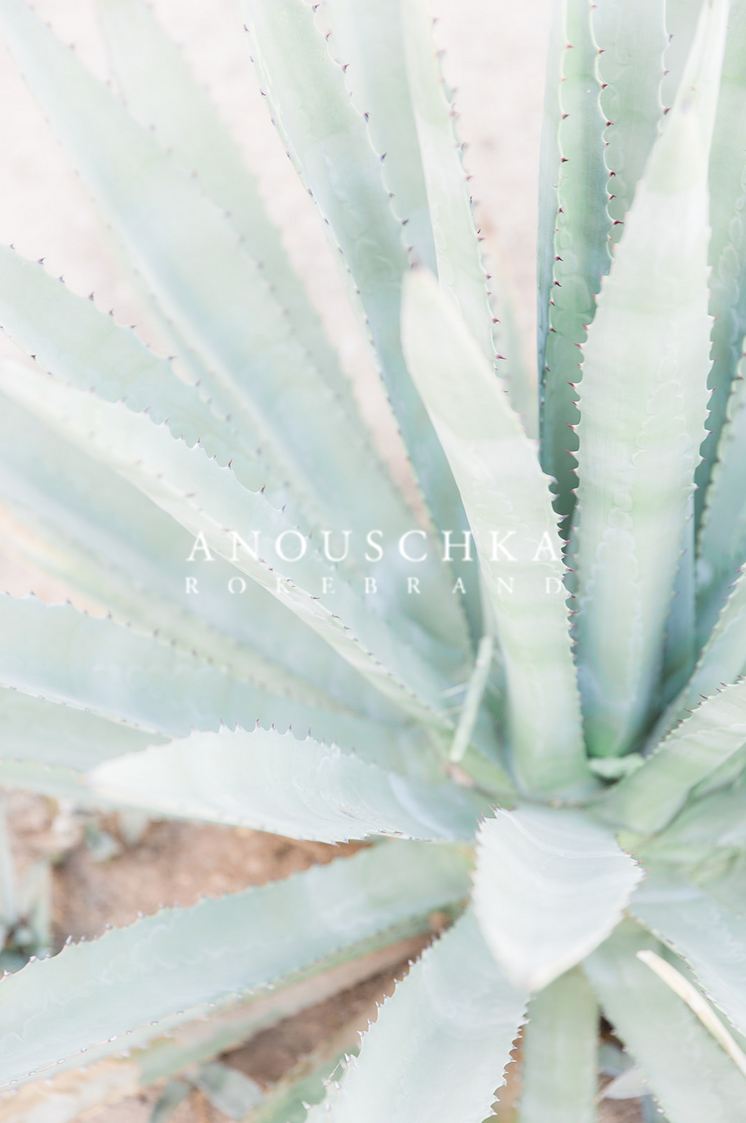 Photo: Anoushka Rokebrand
