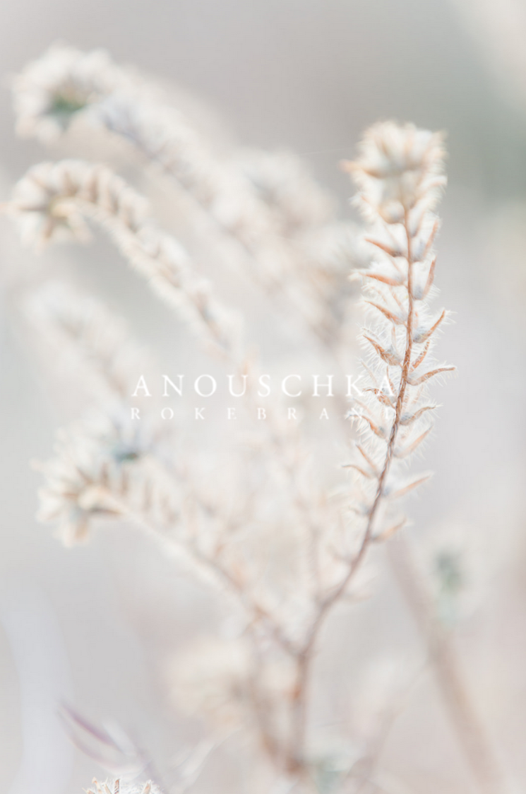 Photo: Anoushka Rokebrand