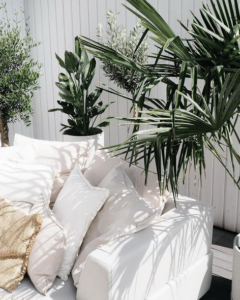 Lovely shadows - I love how palms look in the light and shadow.