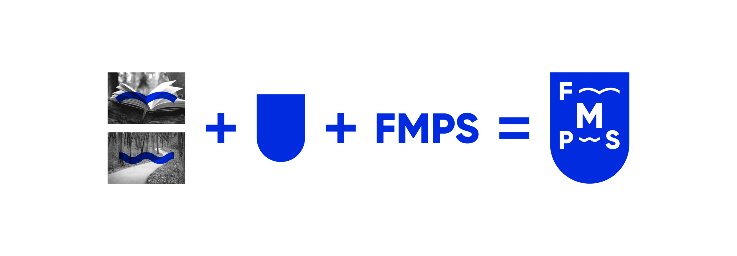FMPS Process1-02.png