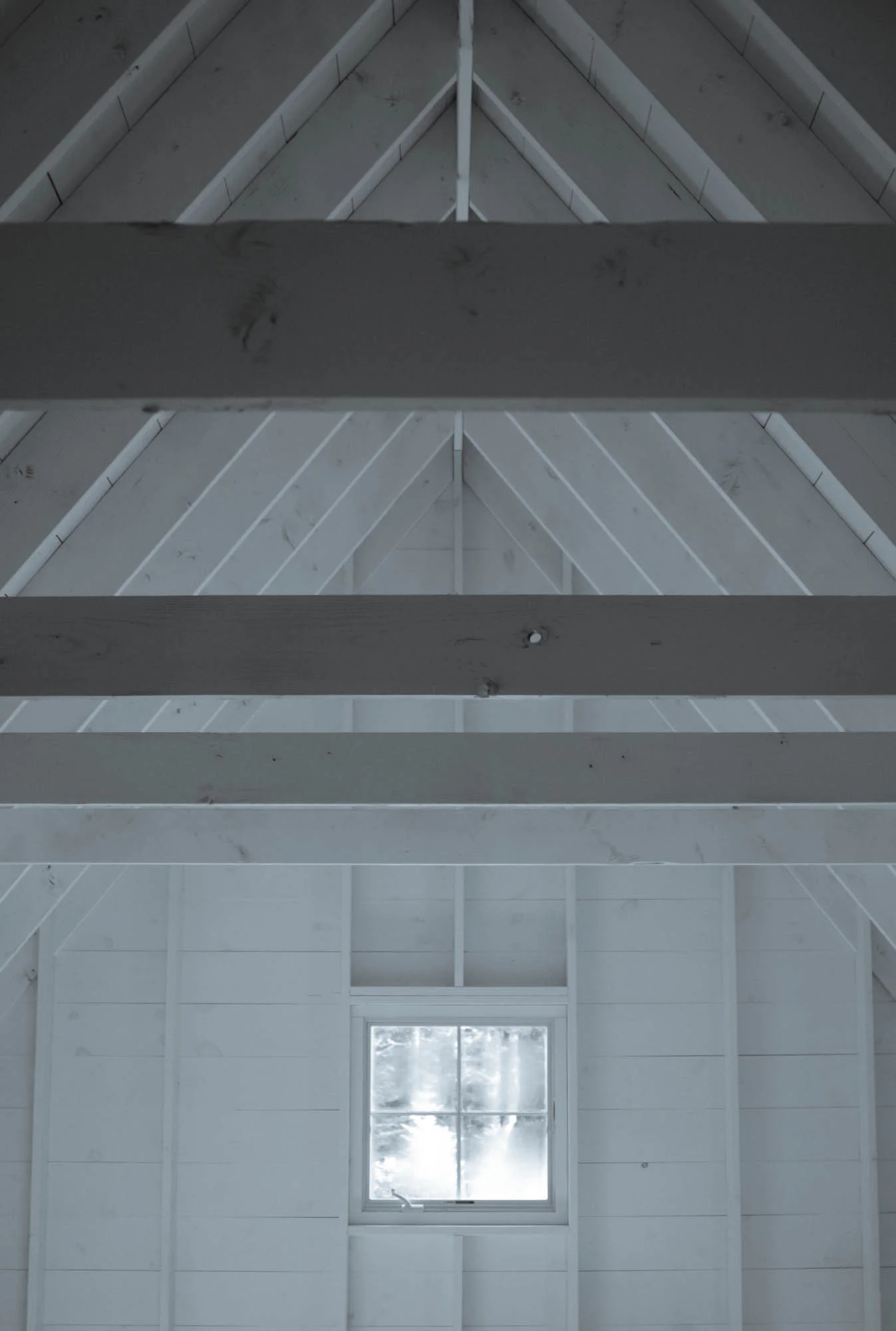 Seal Cove Bunkhouses - Interior Exposed Framing
