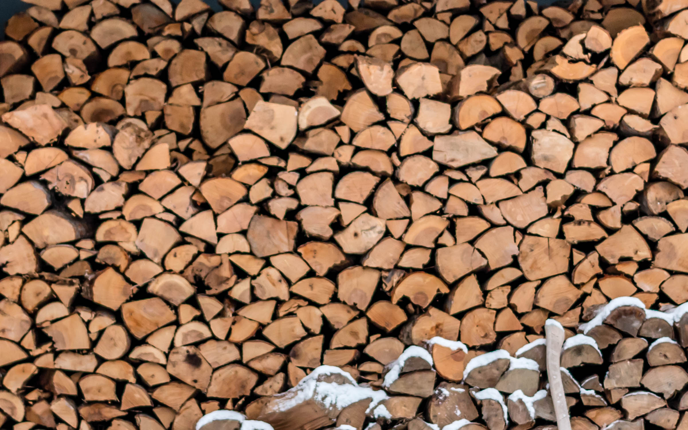 Winter's Wood | Photography - Eric Reinholdt