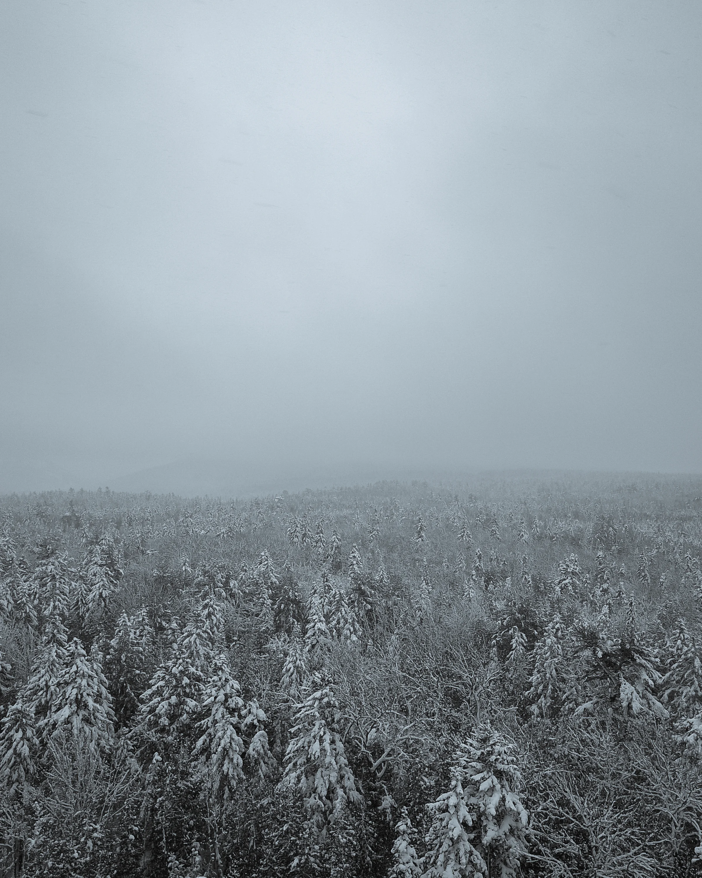 Pretty Marsh December