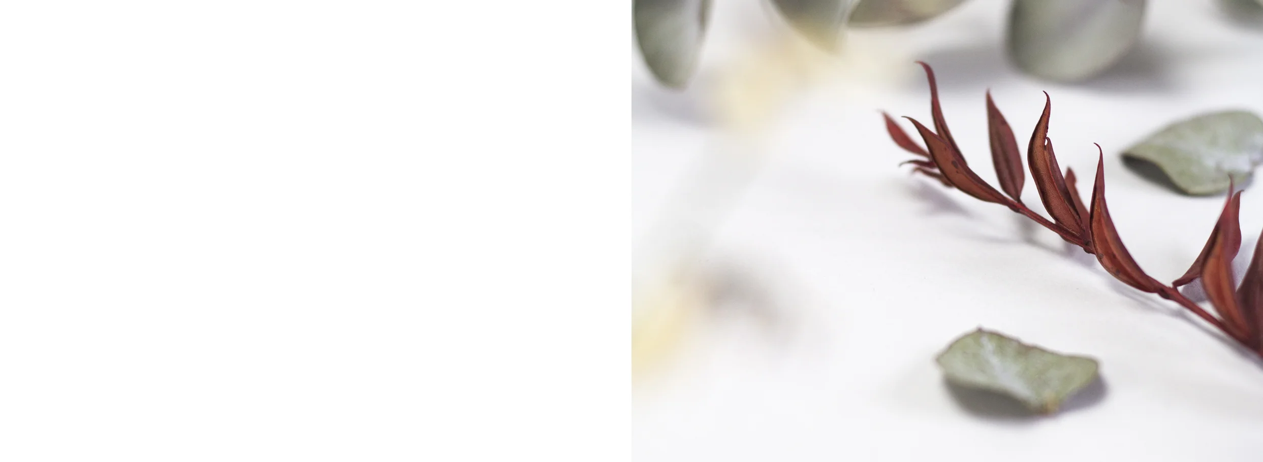 URIAGE-ALT-BLANC-BANDE-INV-02.jpg