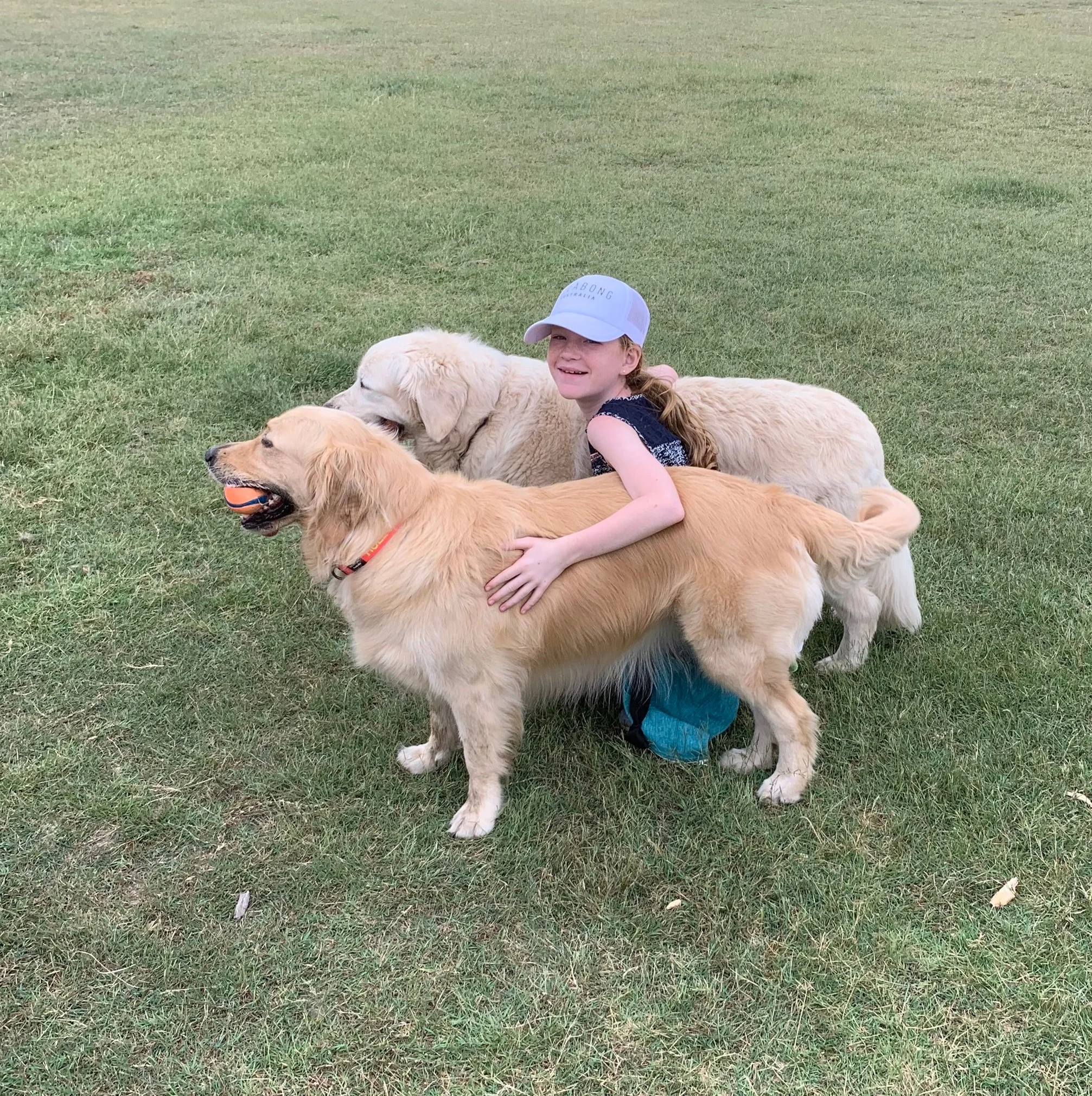 Sometimes you have to find some golden retrievers in the park because you miss yours!!