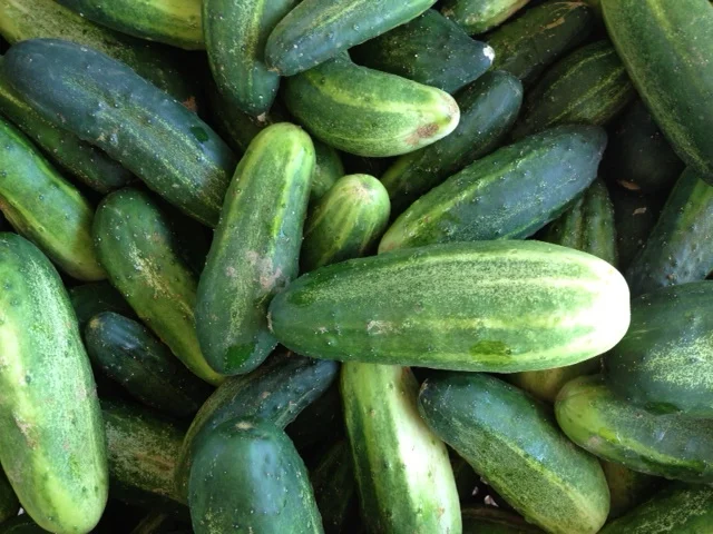 image(11).jpg
