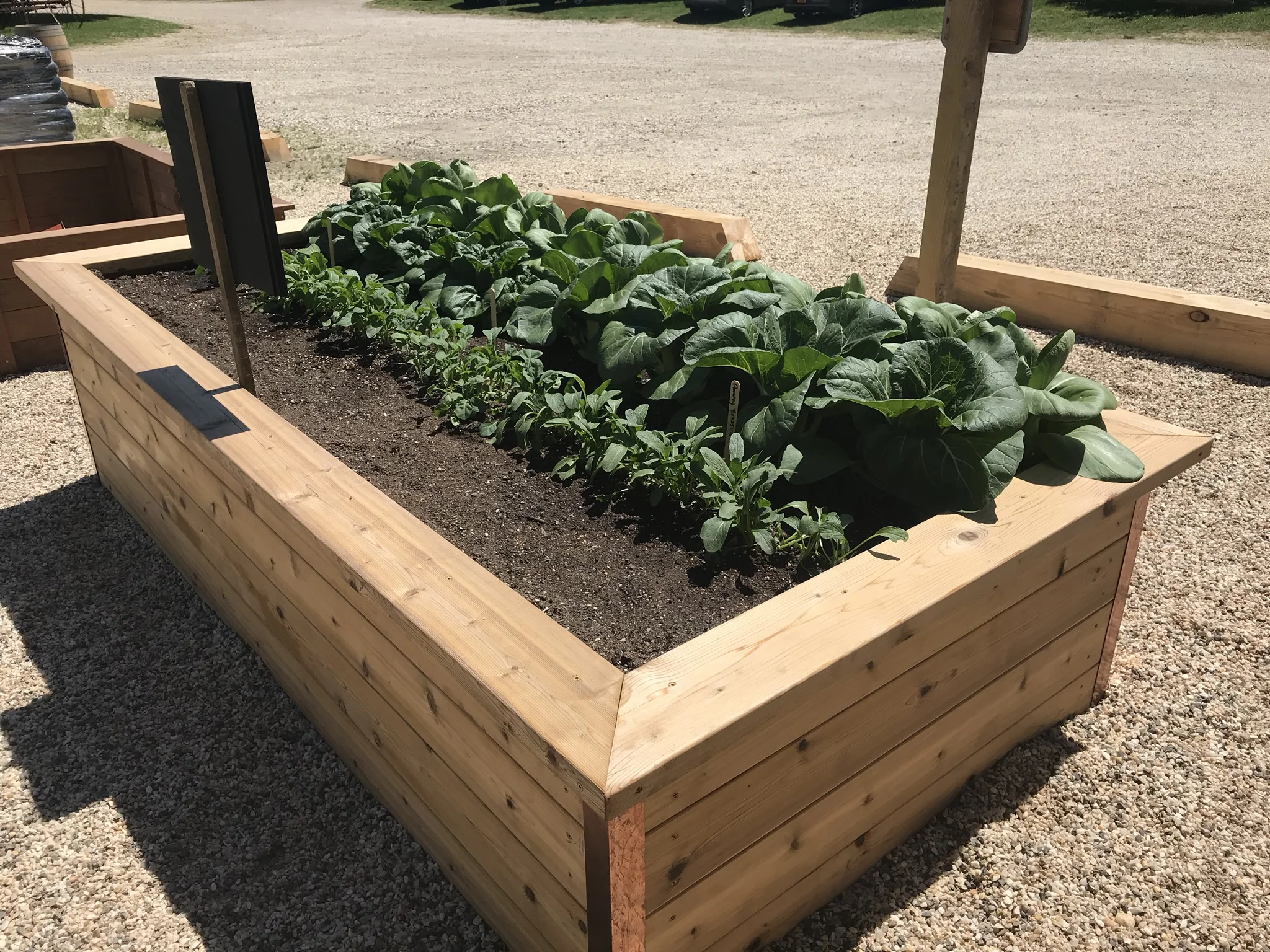 Cedar 4'Wx8'Lx2'H Raised Bed — COFTT