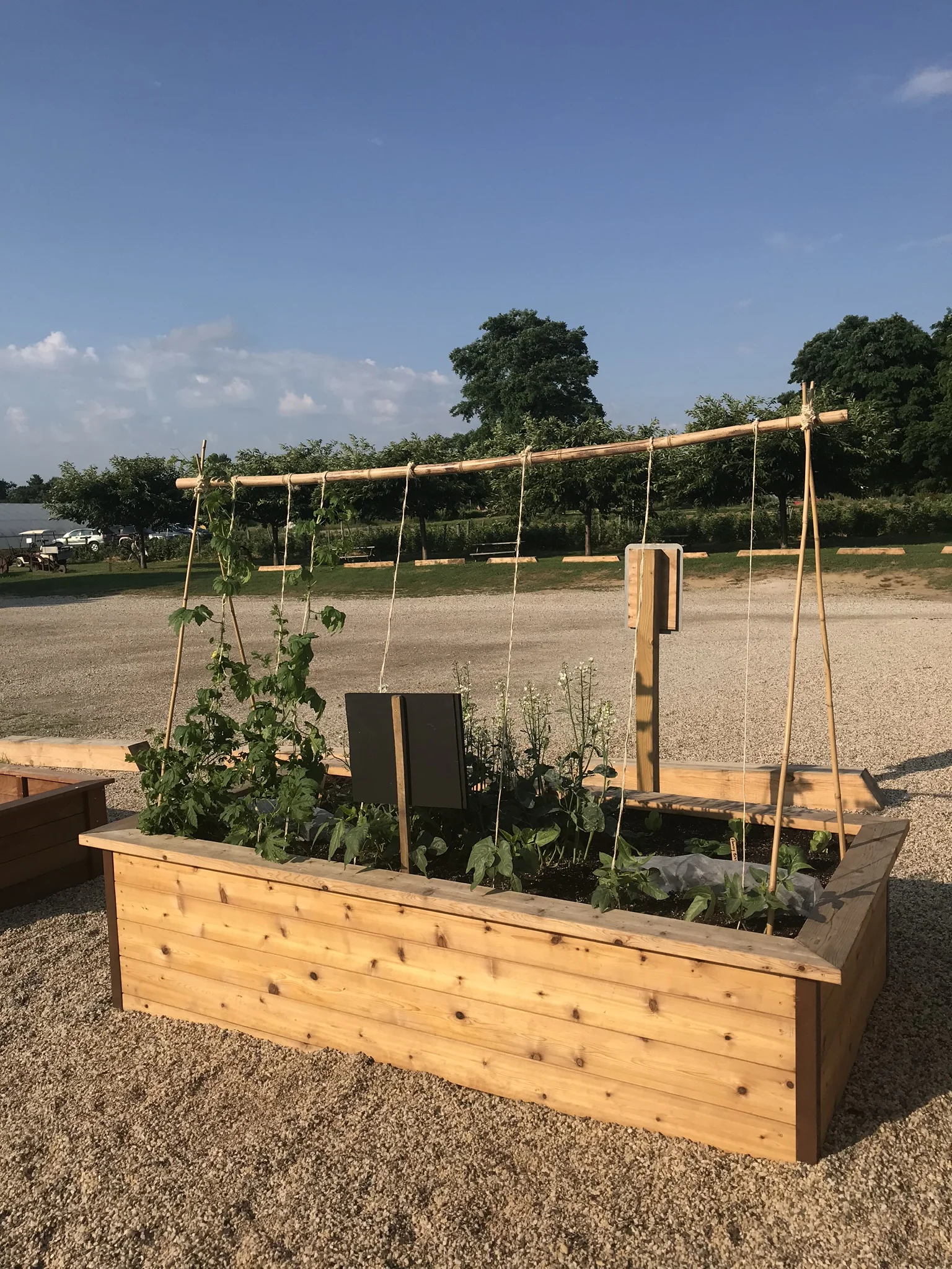 Cedar 4'Wx8'Lx2'H Raised Bed — COFTT