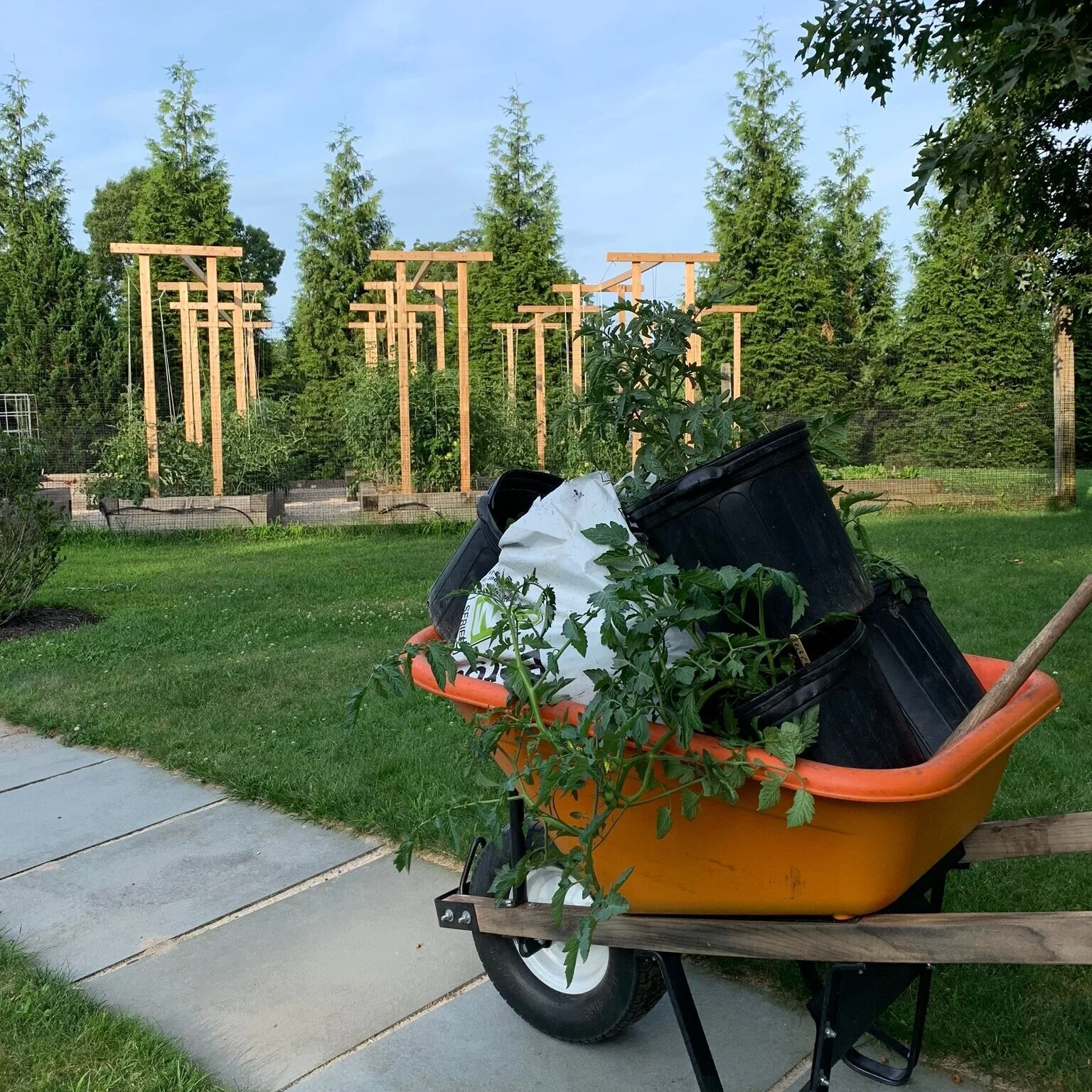 Victory Garden Level 1 (pay in full)