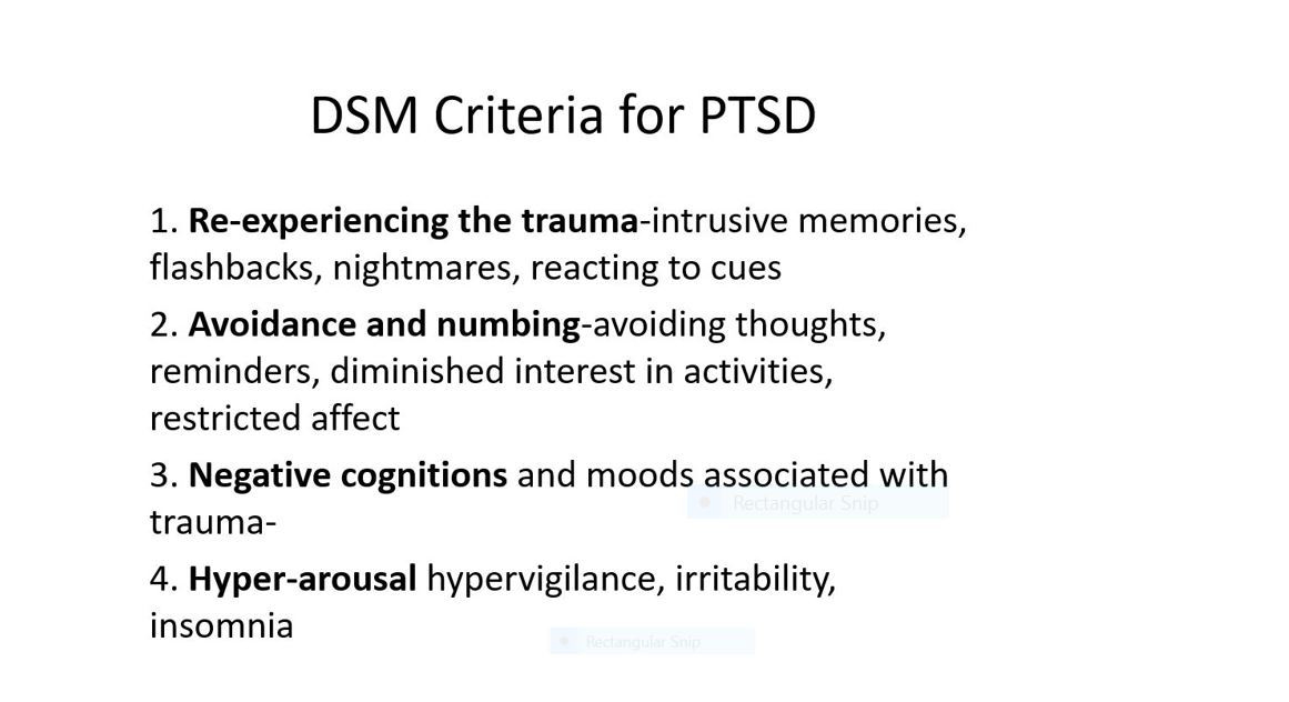 dsm.jpg