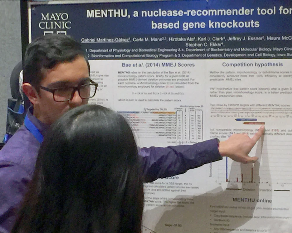 Gabriel Martínez-Gálvez, PhD Candidate, Biomedical Engineering and Physiology, Ekker group at Mayo Clinic. Permission to publish the photos was granted by the author of the poster.