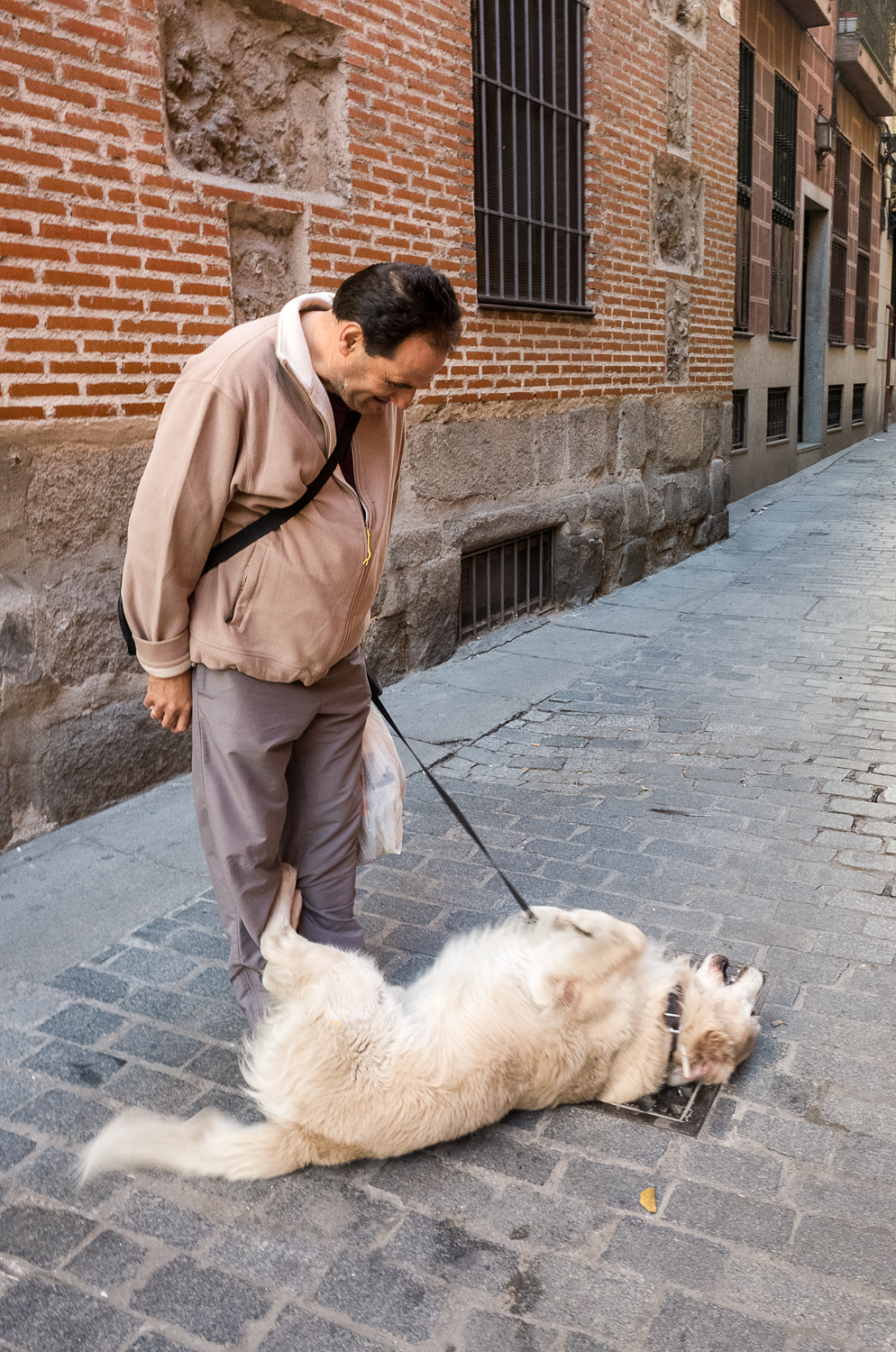 playing-dead-dog-madrid.jpg