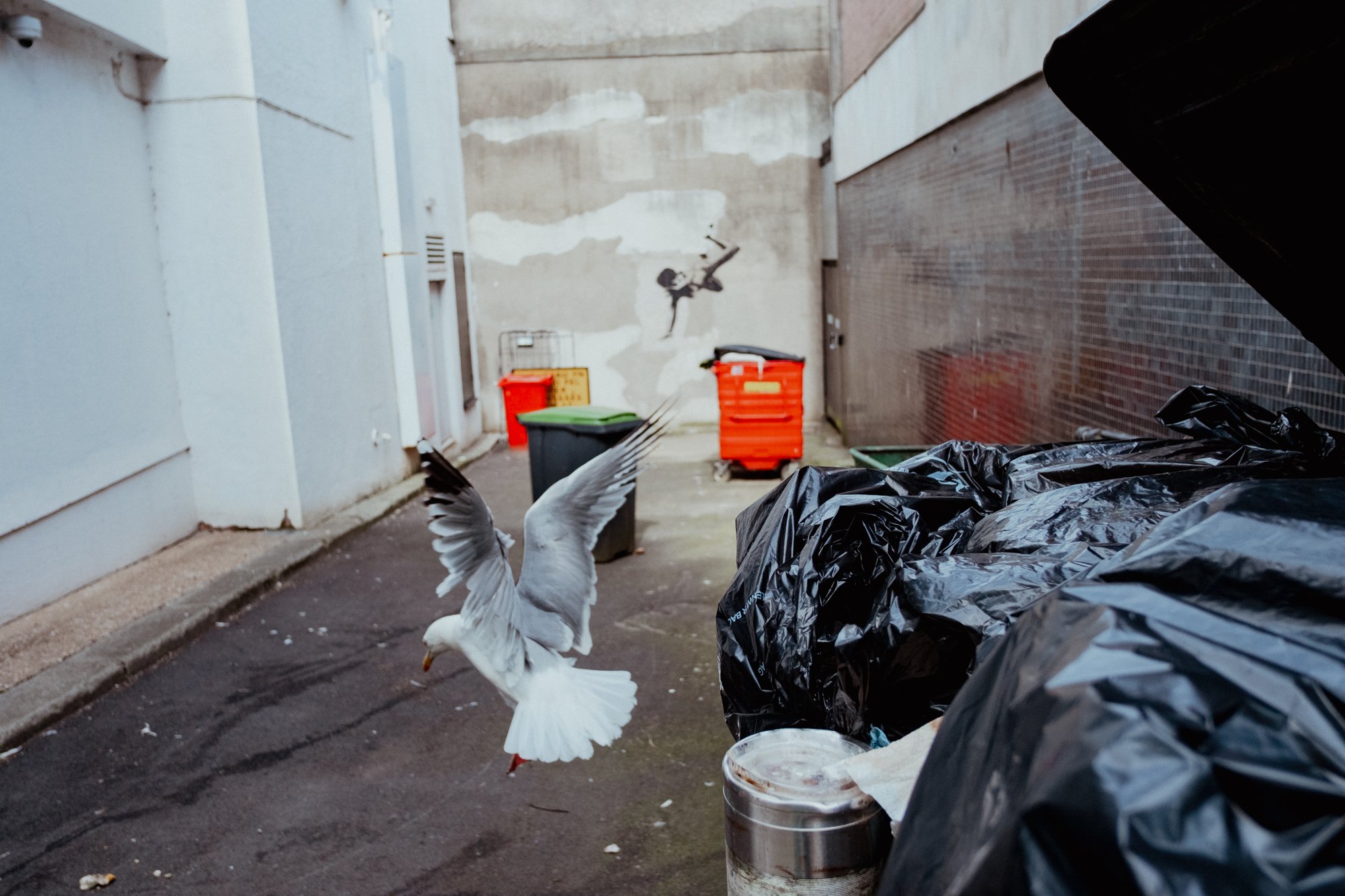 swansea-seagull-bins-falling-graffiti.jpg