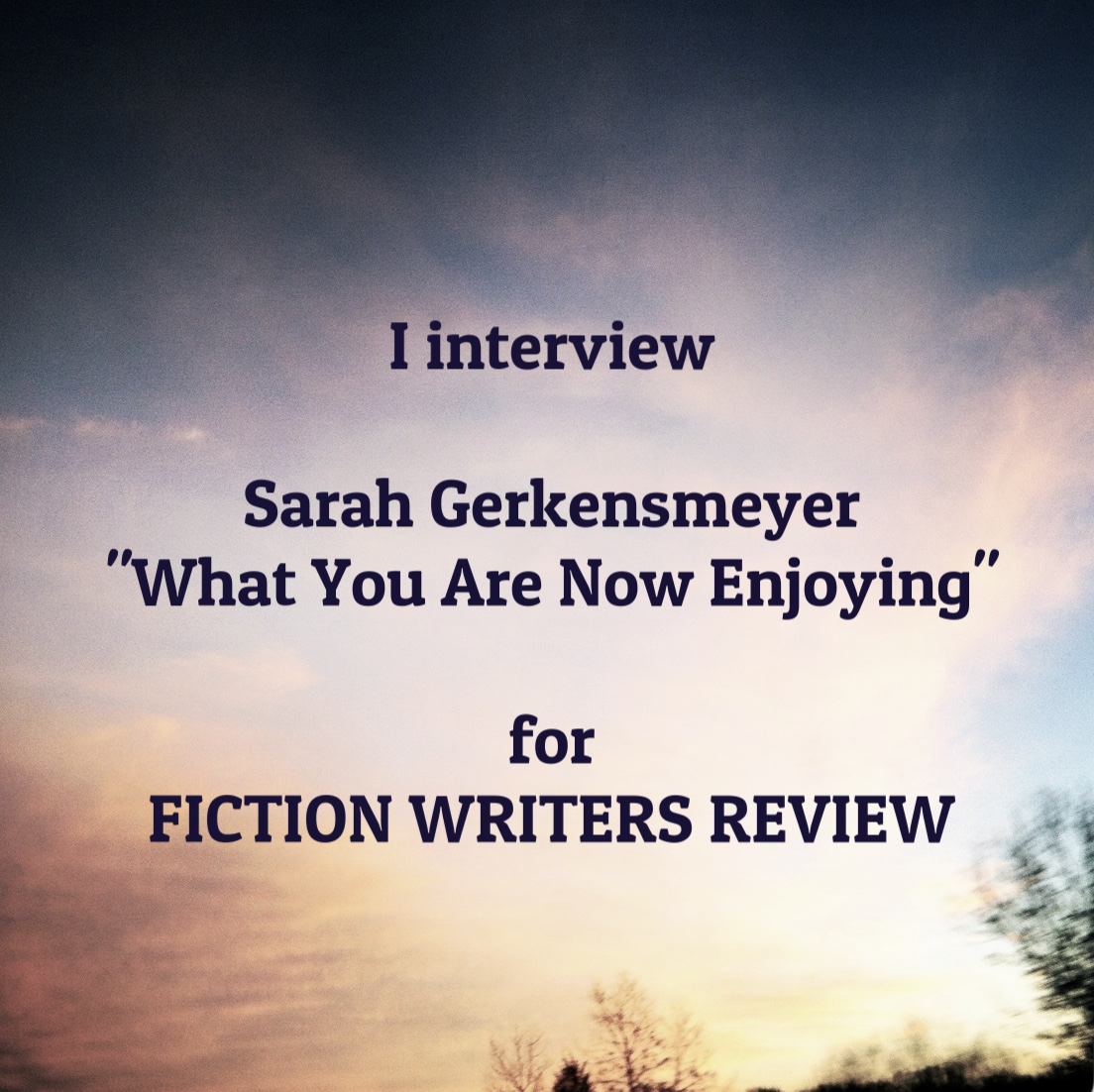 fiction writers review sarah gerkensmeyer maria mutch