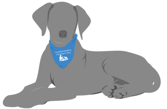 Certified Reading Assistance Dog