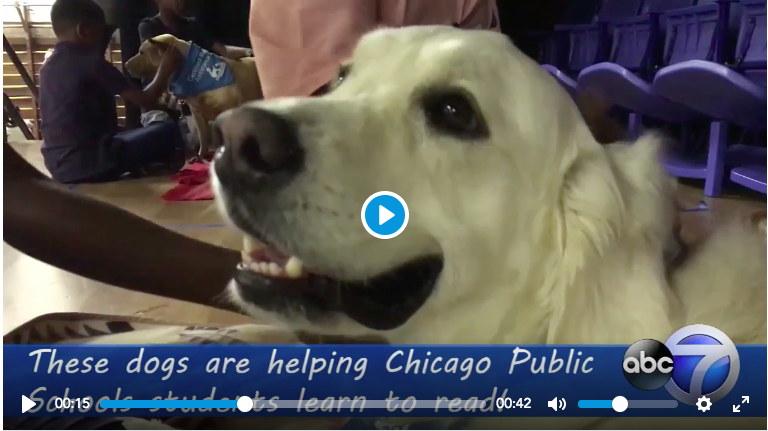 ABC7 Joins SitStayRead at a Keep Reading Celebration! (Video)