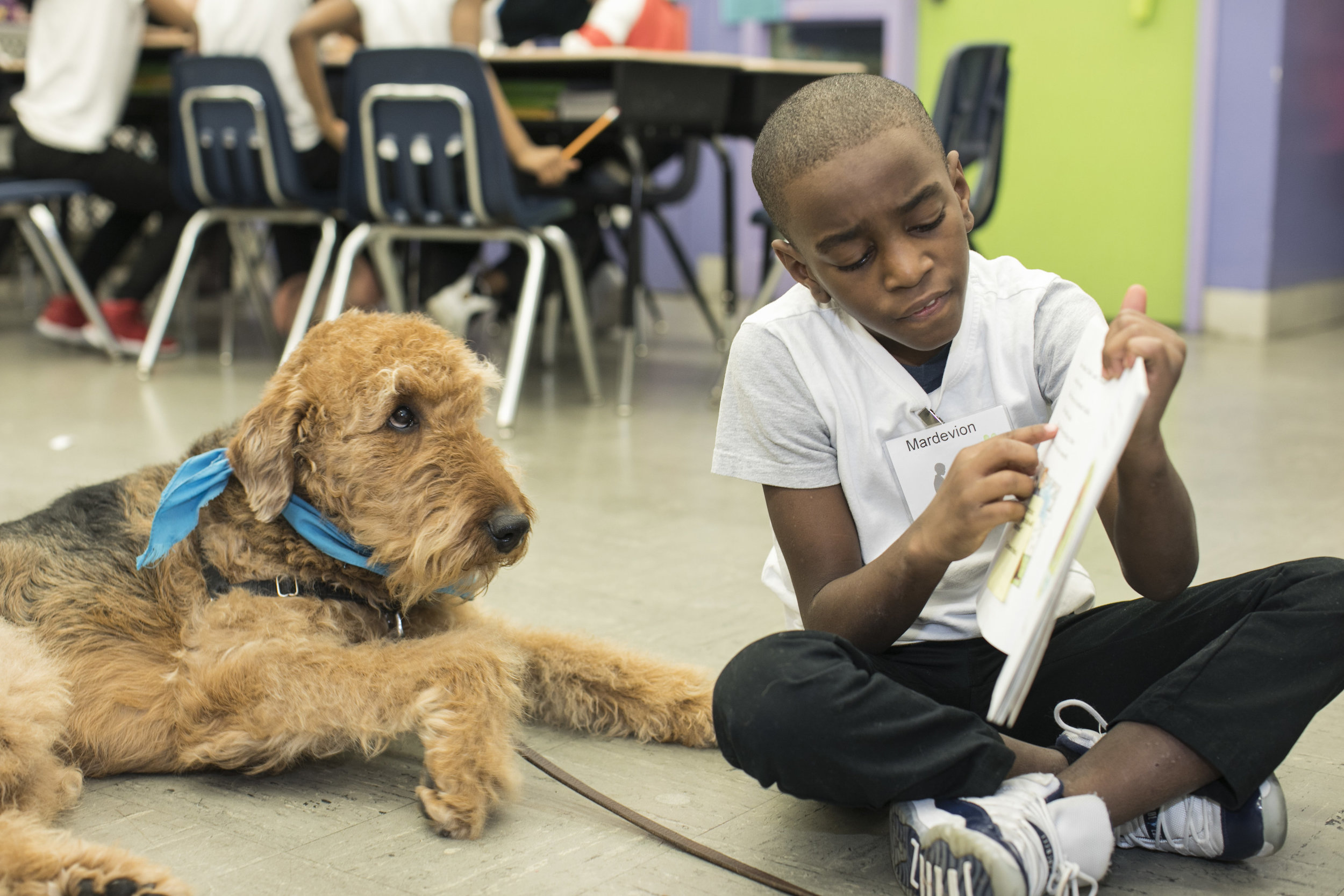 Buddy listining to Mardevion read A Dog Named Sam.jpg