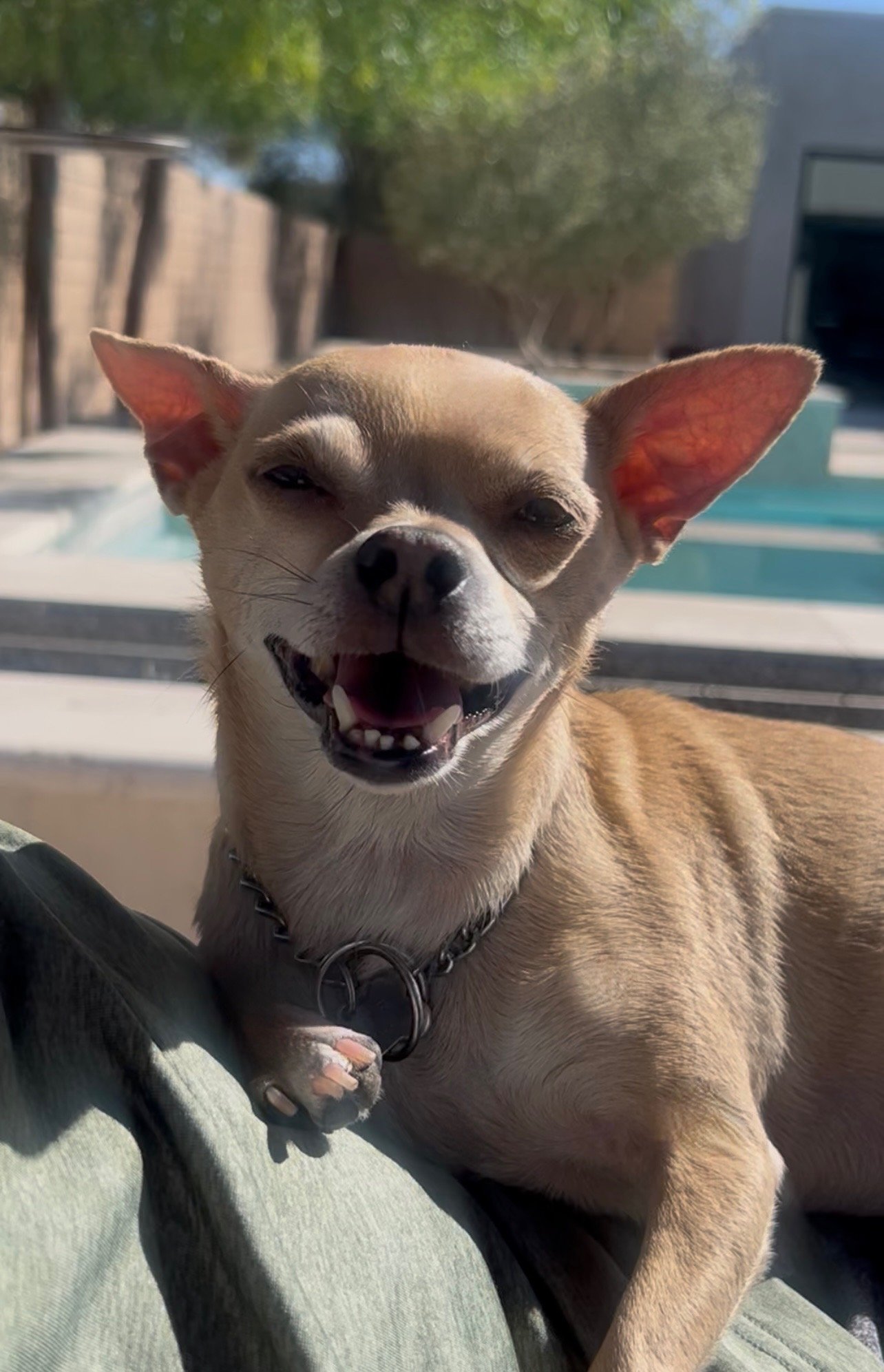 Office + Schools Closed: Spring Rest + Restore