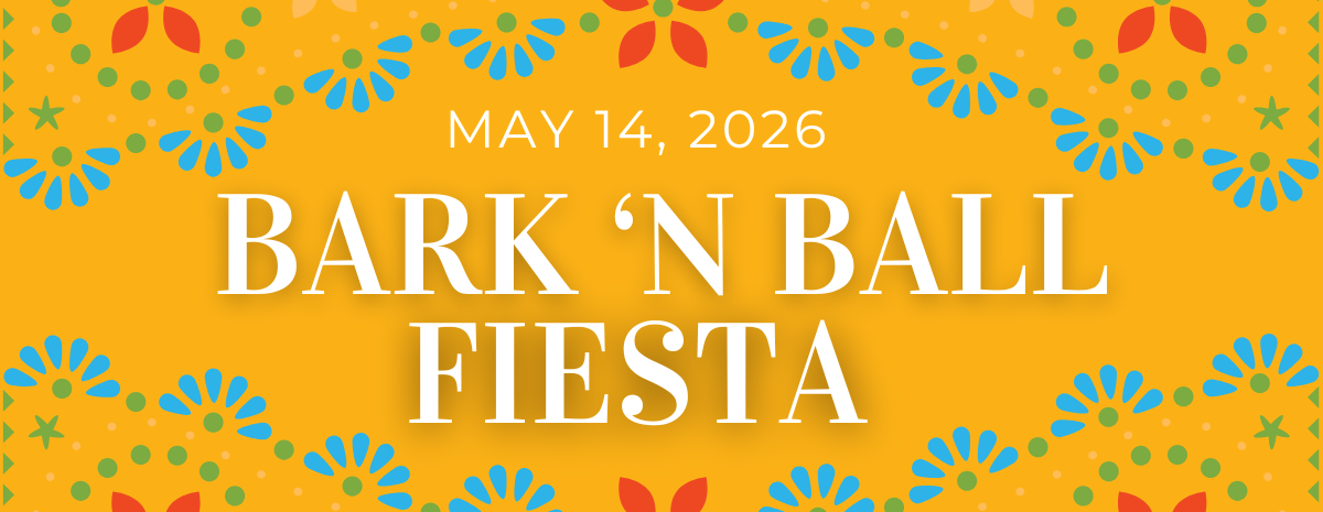 Bark 'N Ball Fiesta