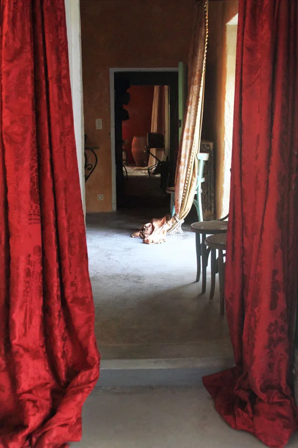 reddrape.jpg
