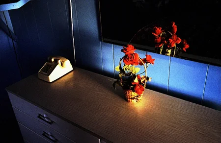 hotelflowers_montauk_2005.jpg