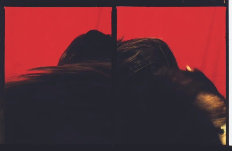 Rainbow Portrait Red.jpg