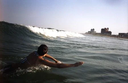 Spring Selection 2017