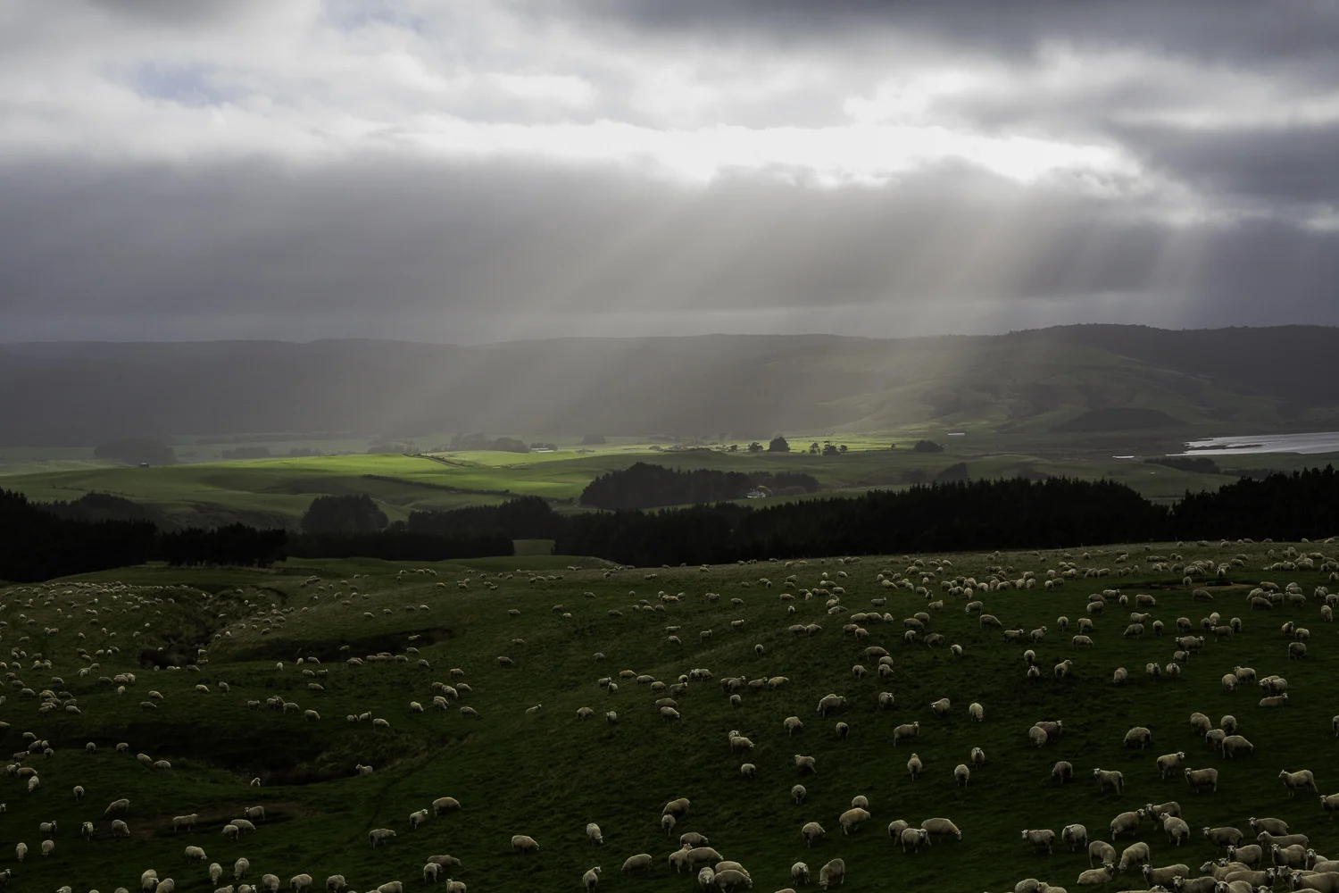South Island I, New Zealand, 2014