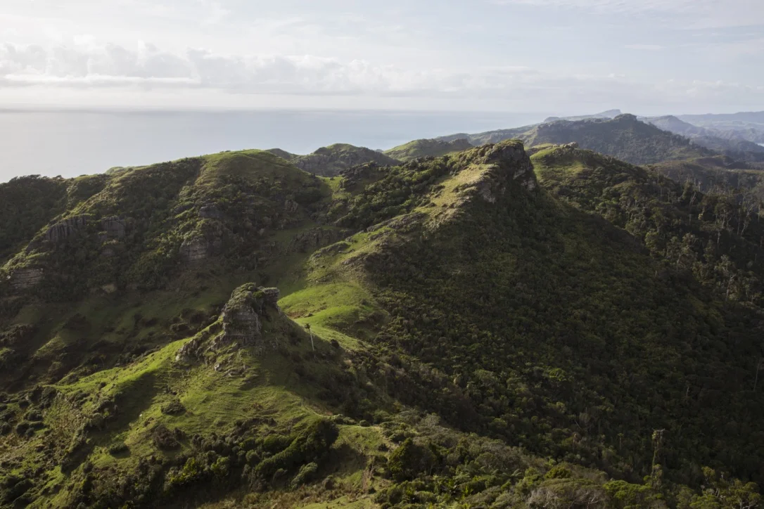 South Island, New Zealand III, 2014