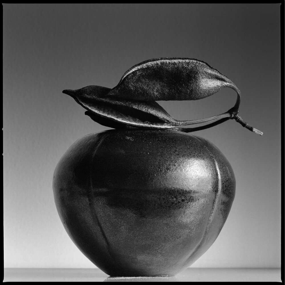 Steven Haas |