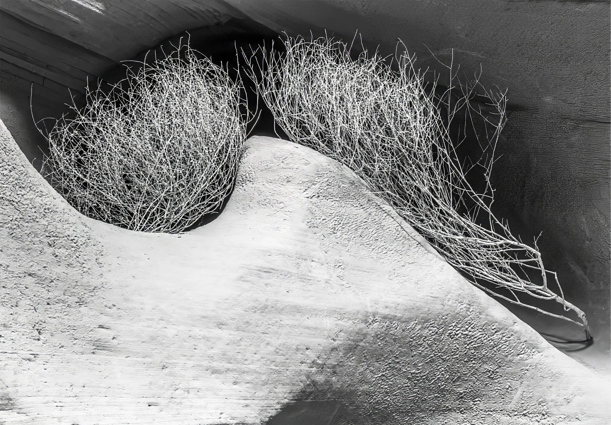 Tumbleweed In Antelope Canyon.jpg