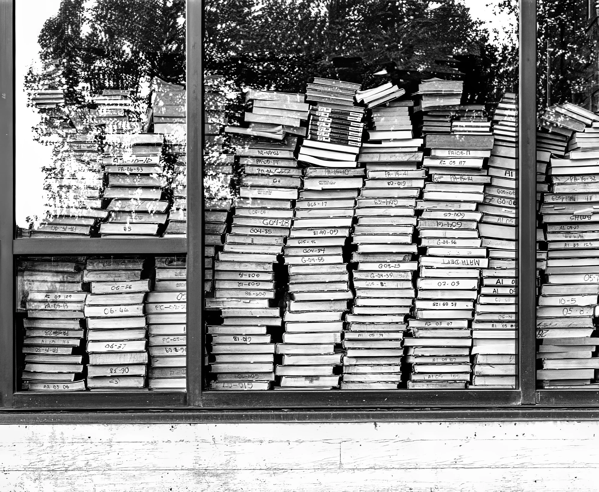 Window--Books---Battle Mt Hi Sch.jpg