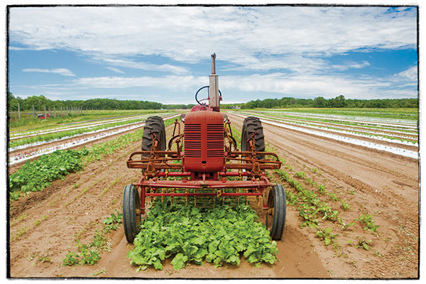 Red Tractor