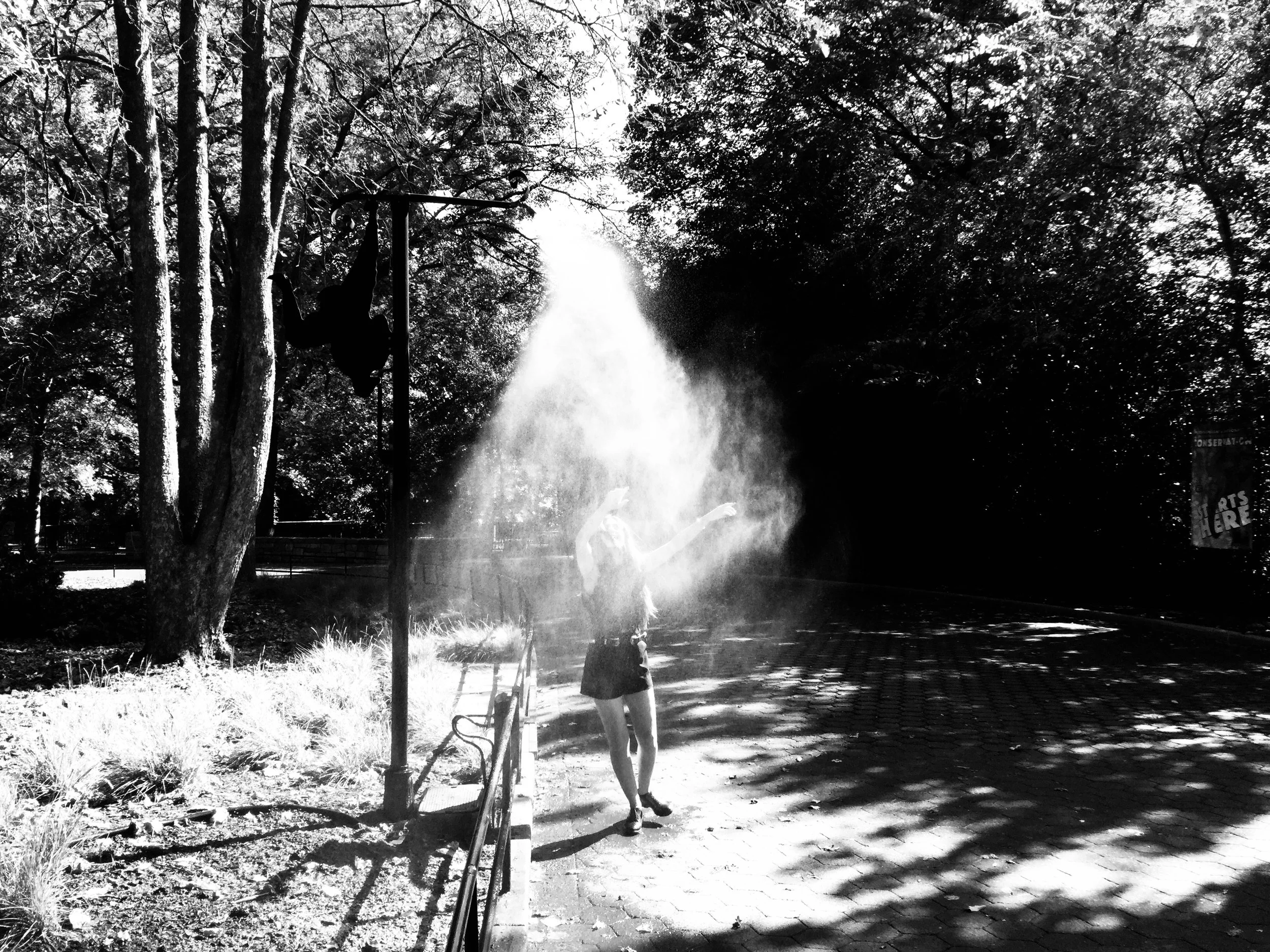 ©B.A. Van Sise