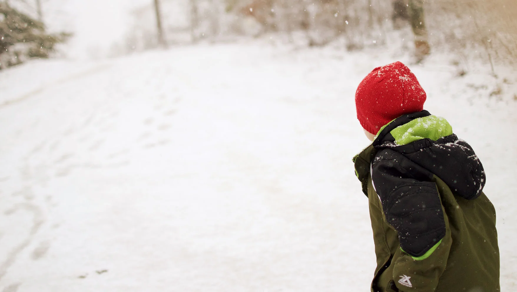 Image: JellyTelly.com