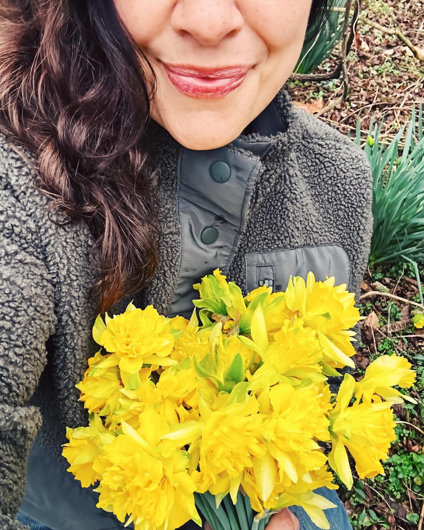 Another day, another jaunt through the daffodil forest. 🌼✨ In a fleece of course, because Tennessee in March. 

#daffodil #daffodils #enchantedforest #springiscoming #springflowers #yellowismyfavoritecolor