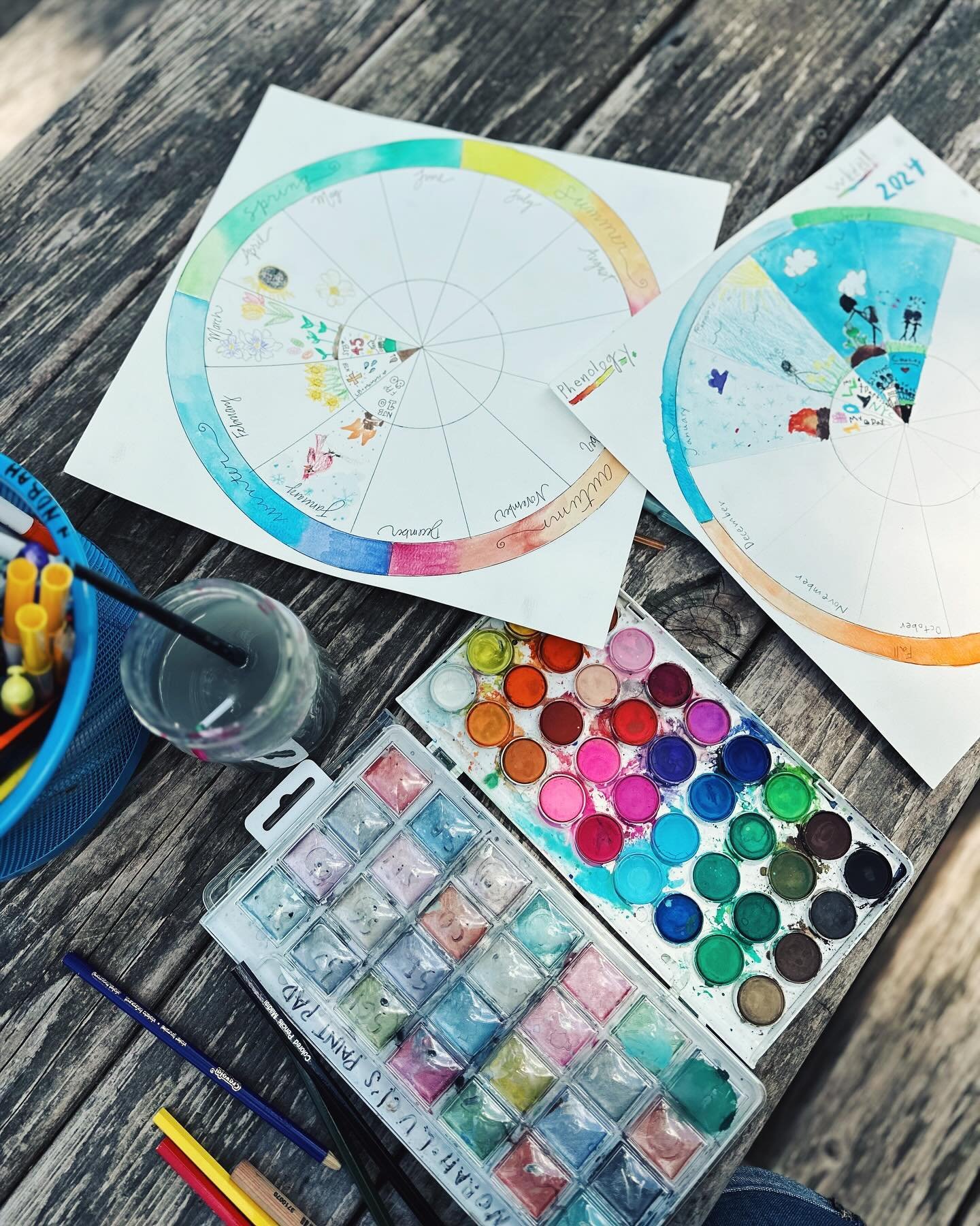 We worked on our phenology wheels in the sunshine yesterday because we all needed a slow, creative school morning. 🌞🌈 This is a unique way of nature journaling your year - in the larger part of each pie slice, you record something that happened in 