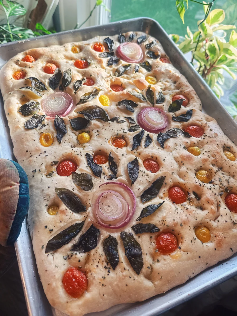 FullSizeRender_VSCO 14.JPG