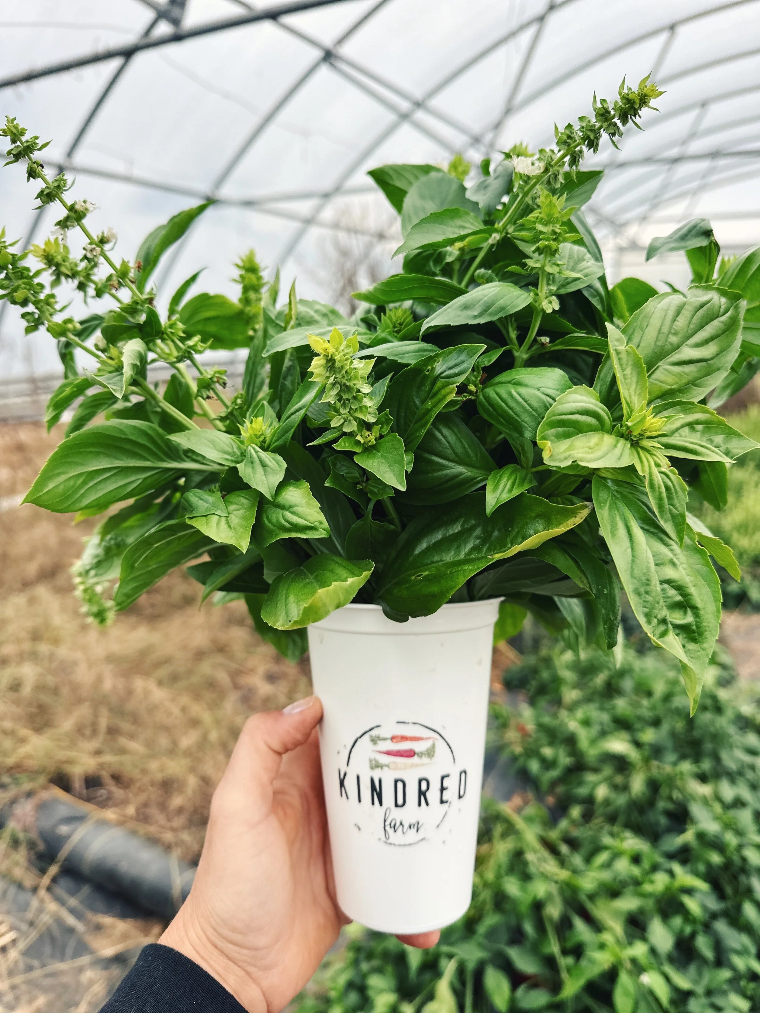 FullSizeRender_VSCO 152.JPG