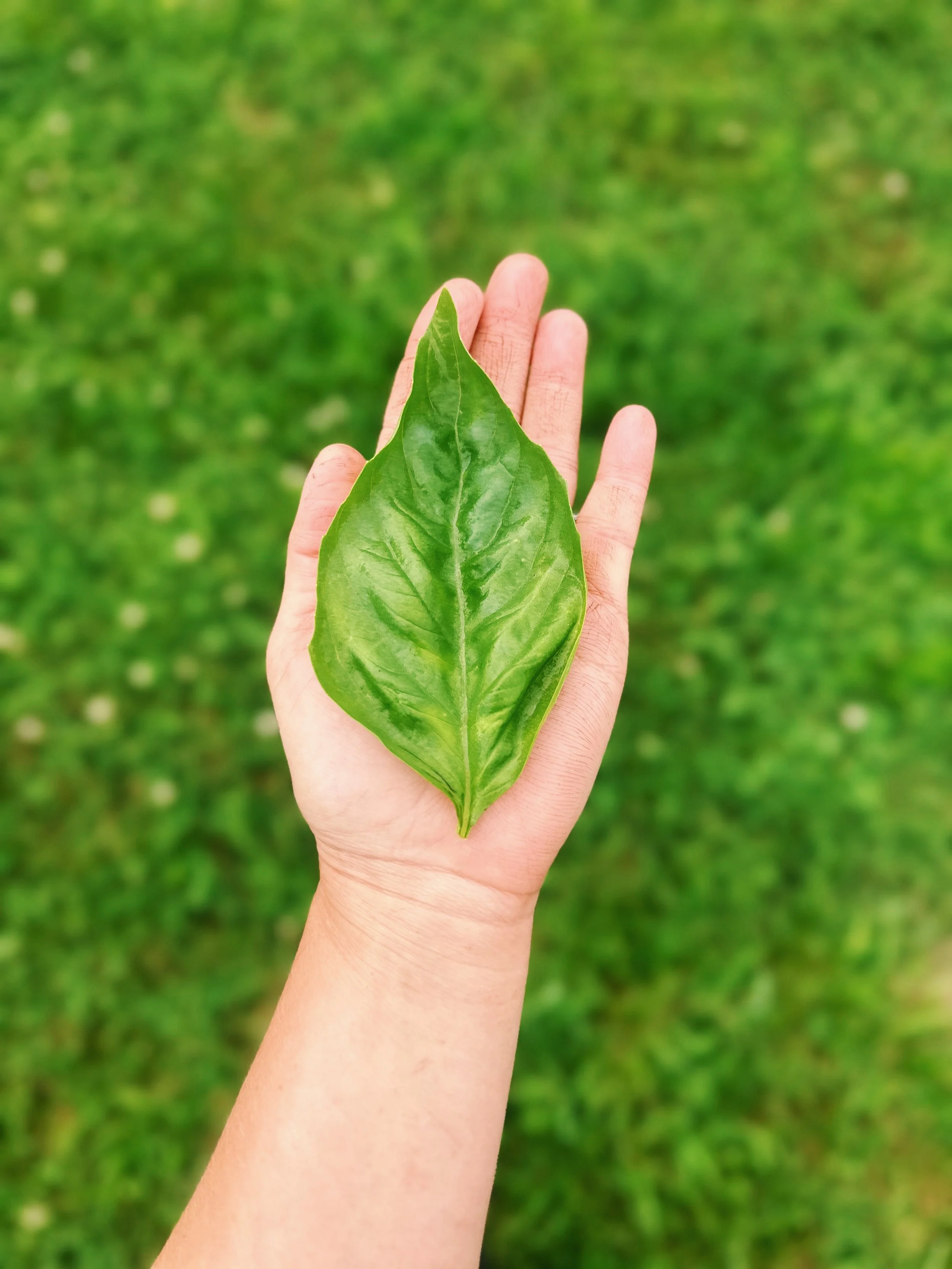 FullSizeRender_VSCO 153.JPG