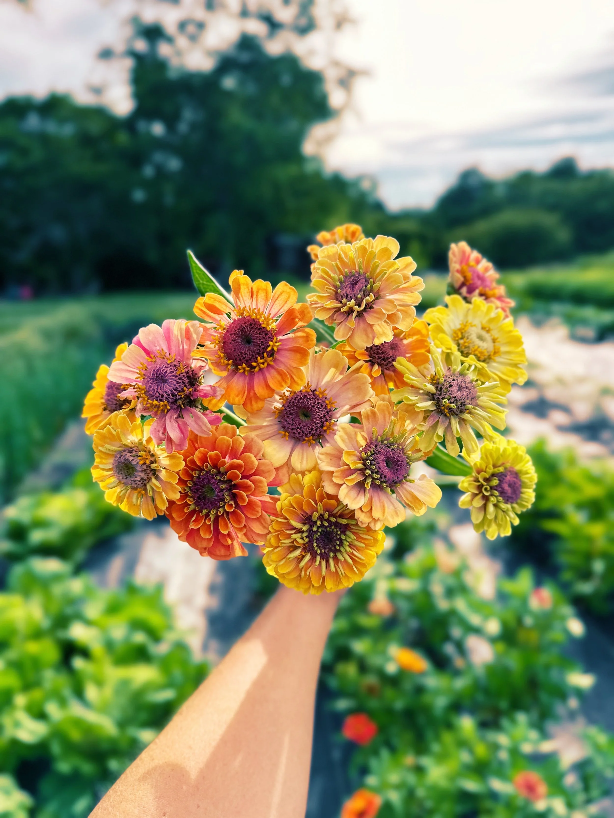 FullSizeRender_VSCO 164.JPG