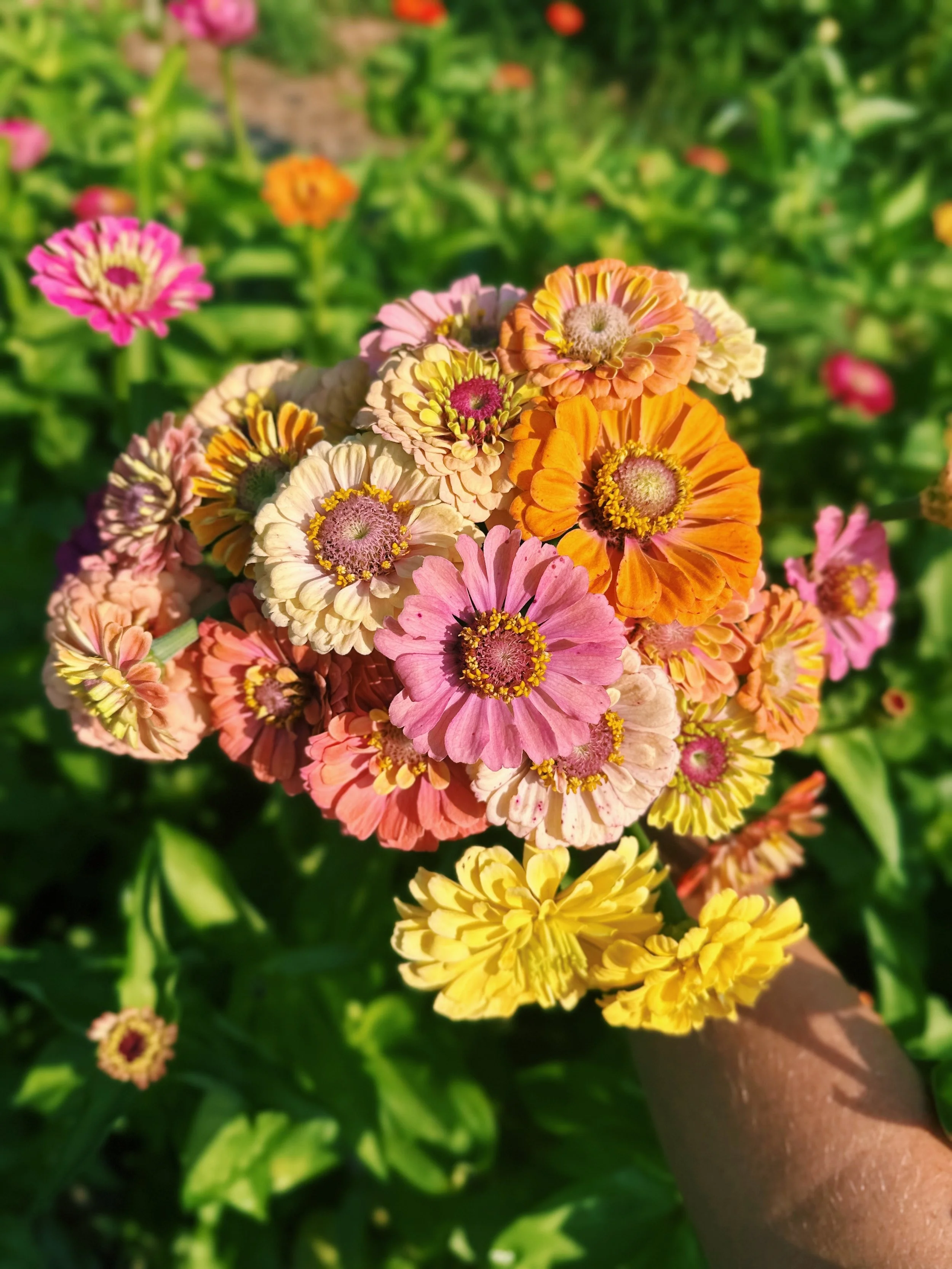 FullSizeRender_VSCO (1).JPEG