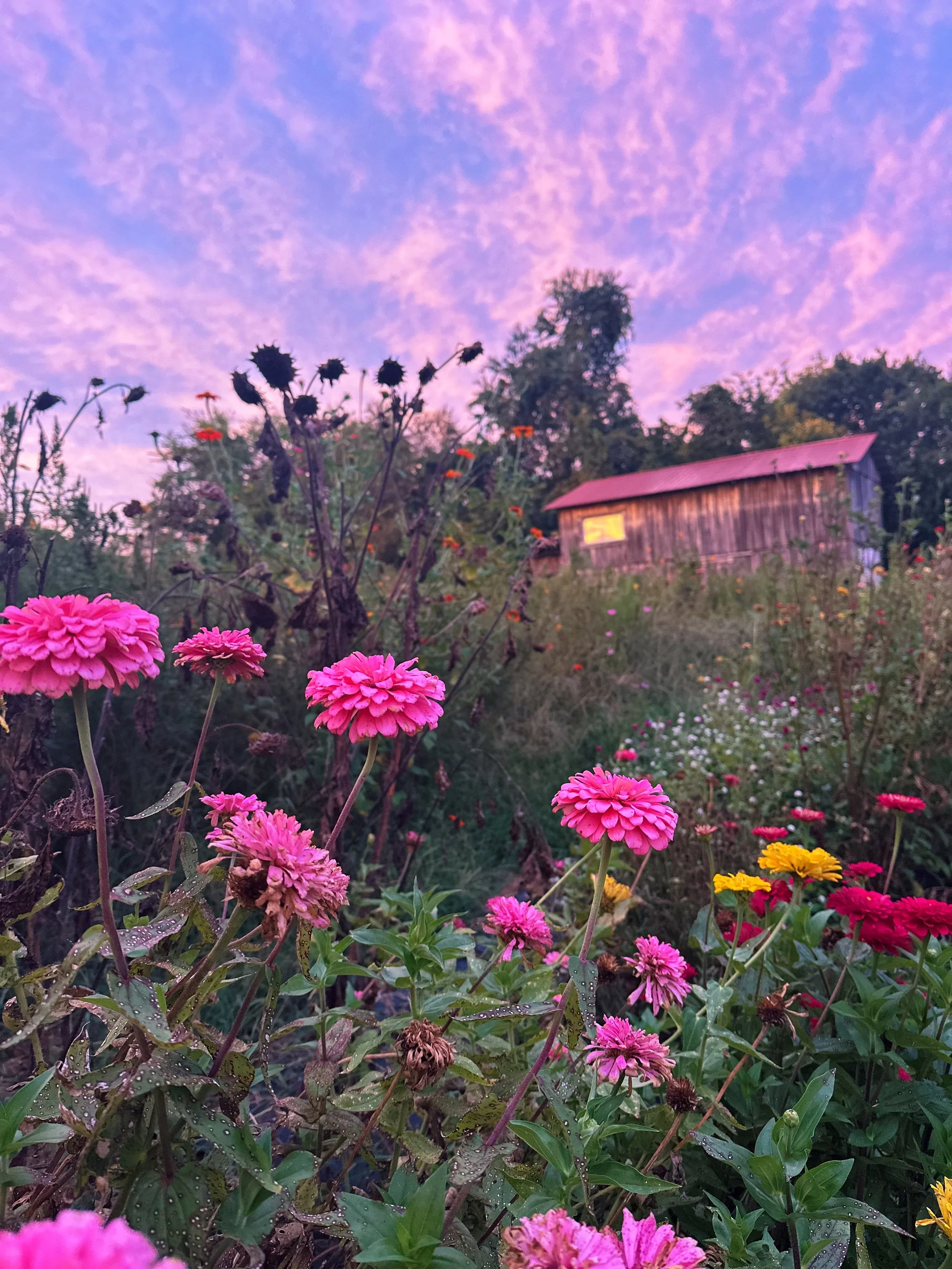 FullSizeRender_VSCO 156.JPG