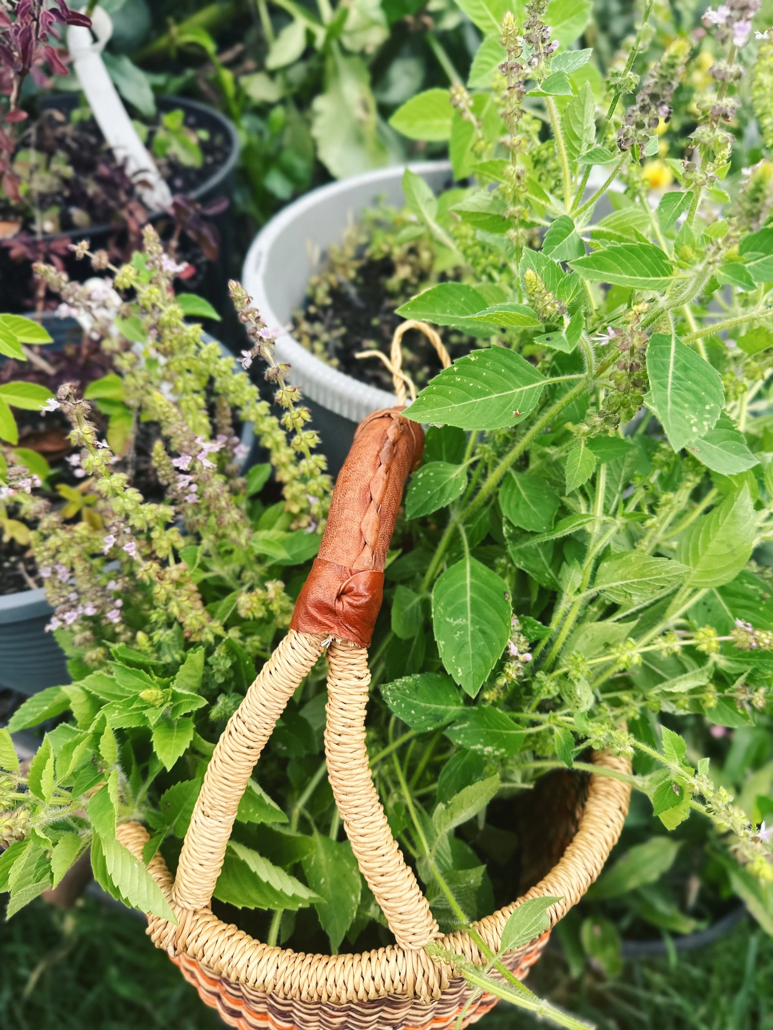 FullSizeRender_VSCO 169.JPG