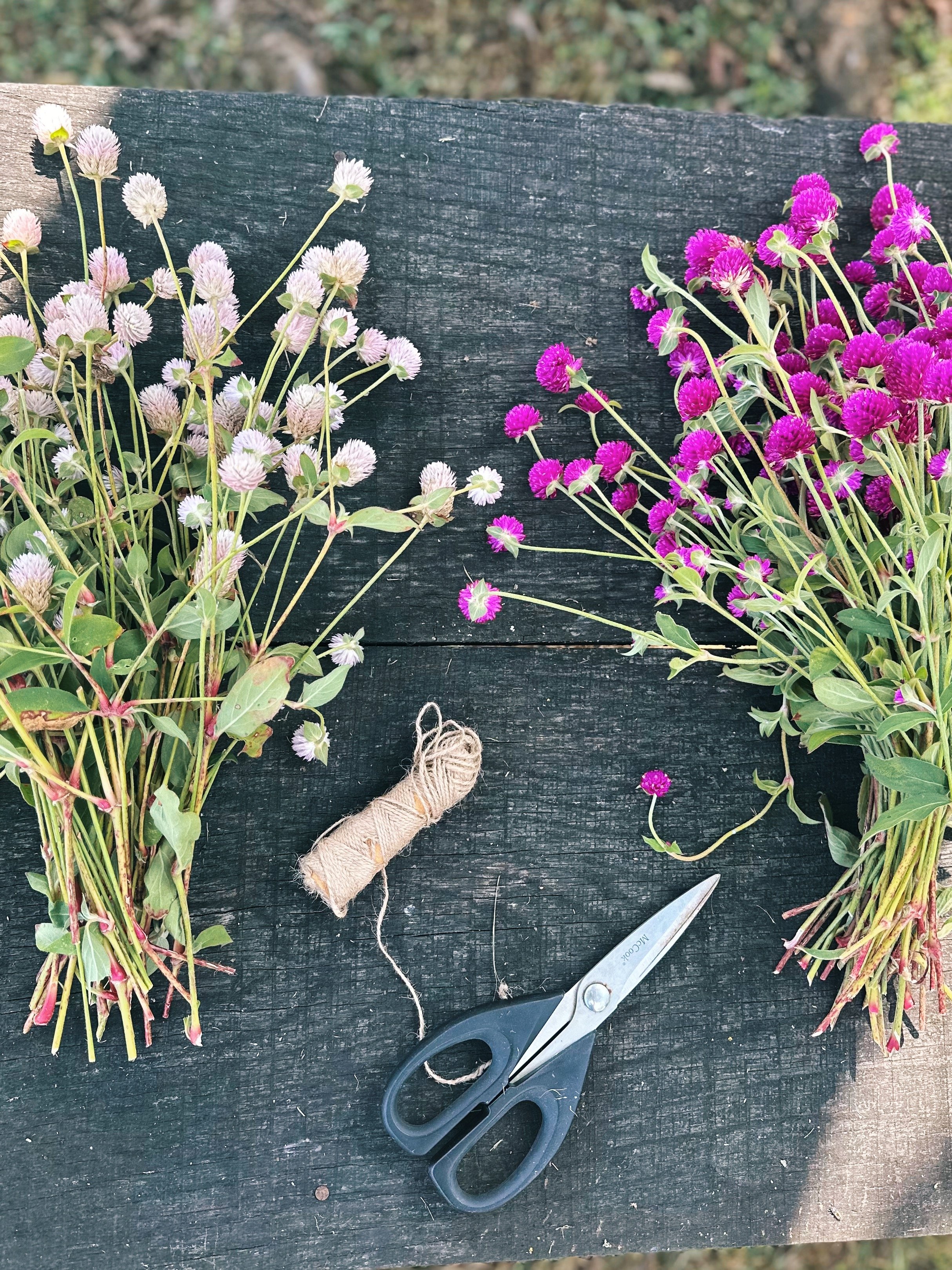 FullSizeRender_VSCO 158.JPG