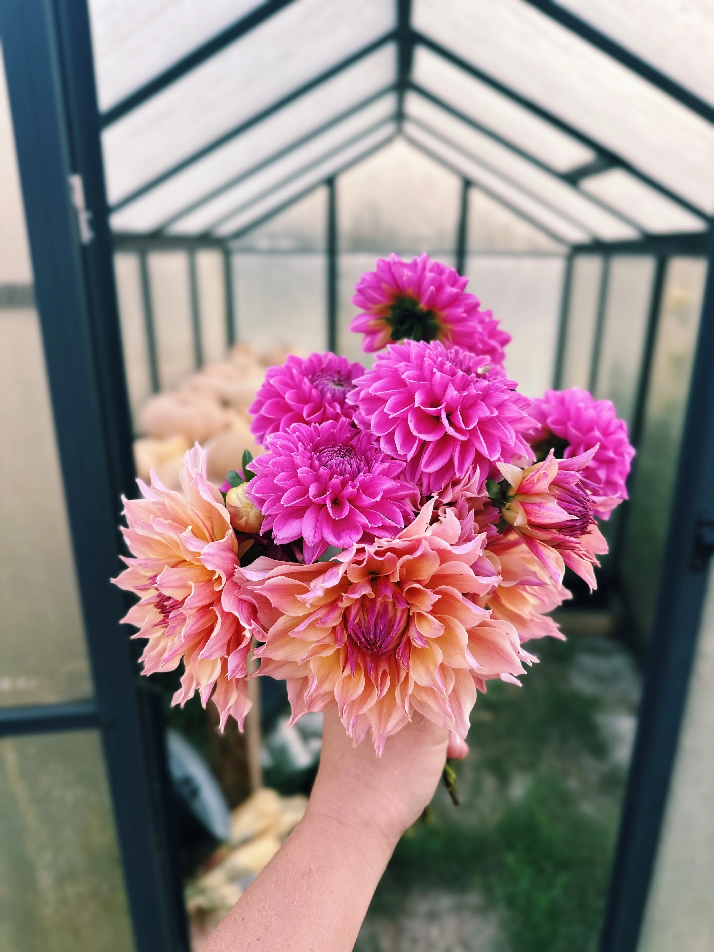 FullSizeRender_VSCO 170.JPG