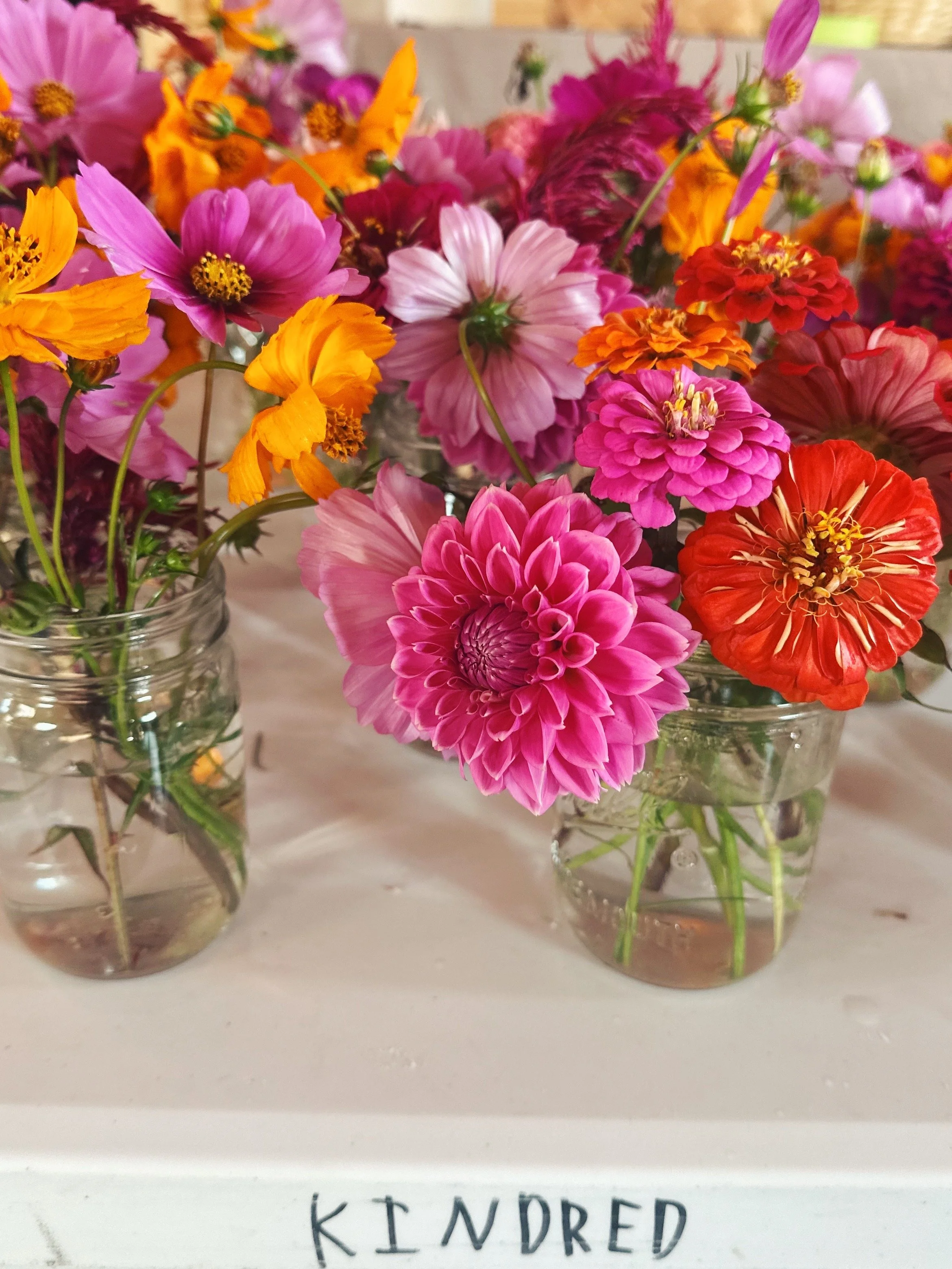 FullSizeRender_VSCO 173.JPG