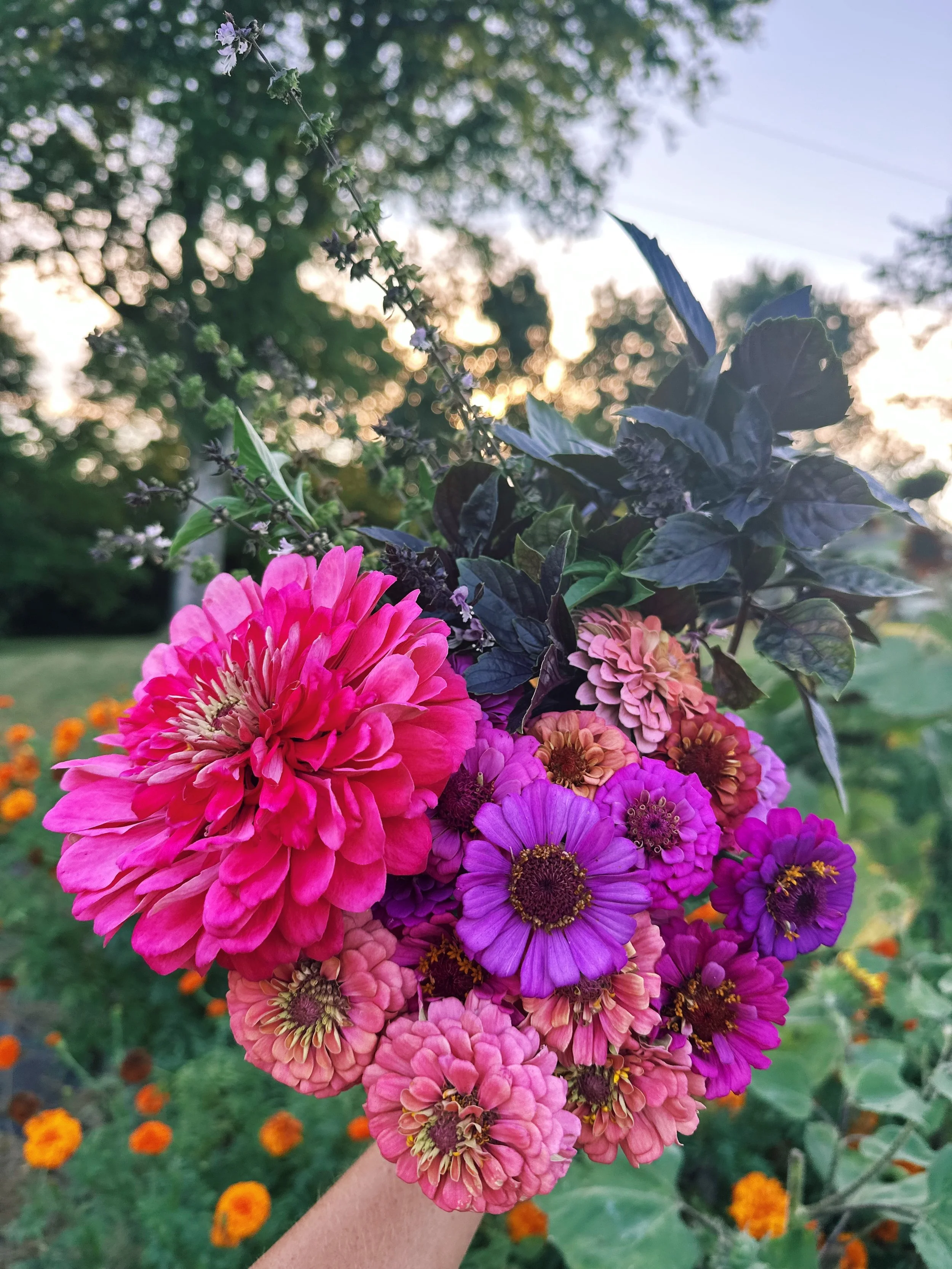 FullSizeRender_VSCO 163.JPG